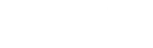 Palmetto Community Care logo