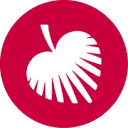 Director of Marketing, Palmetto Community Care